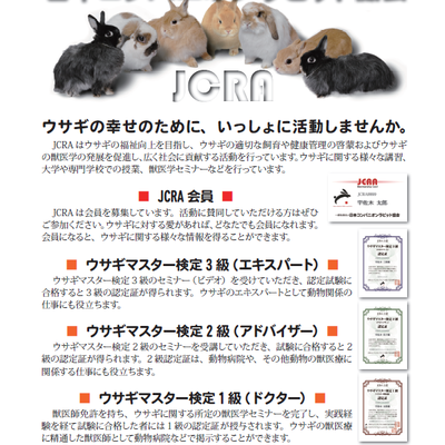ウサギマスターc(U*・×・)U | ブログ | アリーズ動物病院｜渋谷区 