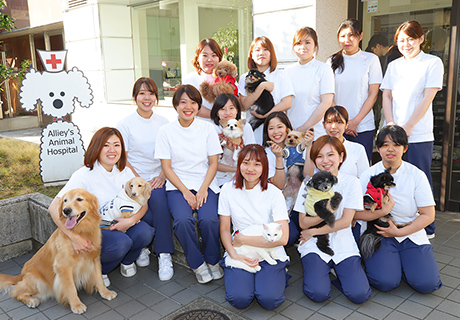 アリーズ動物病院 渋谷区笹塚 幡ヶ谷 初台 代々木上原 世田谷 杉並 中野 新宿